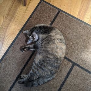 Meet your Posher, Caitlin